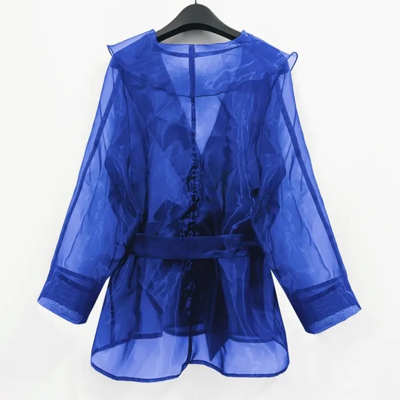 Elegant Blue Sheer Tunic Top - Picture 5 of 5